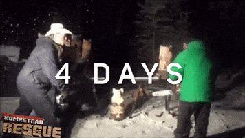 Discovery Channel Countdown GIF by Discovery