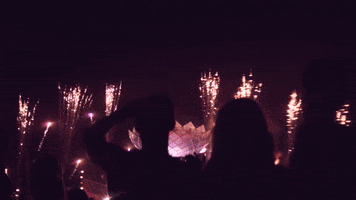 insomniacevents celebrate fireworks music festival edc GIF