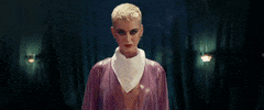 Music Video GIF by Katy Perry