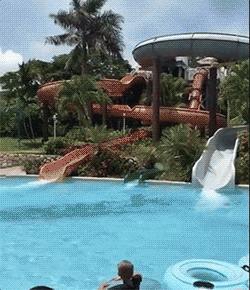 rawxrawxrawx sports water waterslide GIF