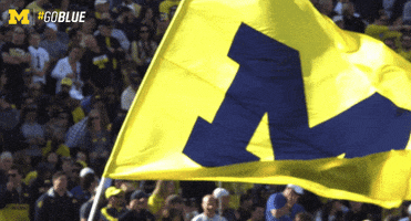 Excited Michigan Football GIF by Michigan Athletics