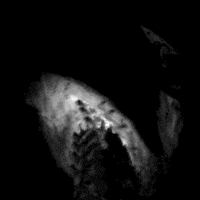 200.gif?cid=fc005b08de0dff32d574251455e4d2a639b010c999e18ed0&rid=200.gif&ct=g