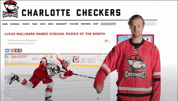 lucas wallmark deal with it GIF by Charlotte Checkers