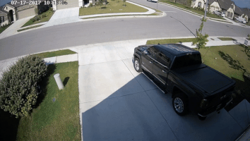 tonyrush bird floating security camera shutter speed GIF