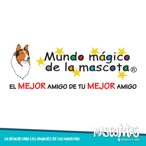 revistamascotitas pets ecuador quito mundo magico de la mascota GIF