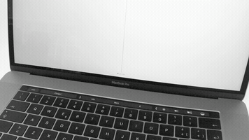 lazil  GIF