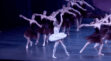 black swan ballerina GIF by New York City Ballet