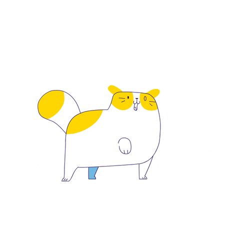 #cat #loop #meow #sassy #animation #illustration #wonderlust #halifax GIF by Wonderlust