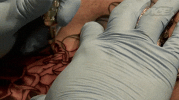 pjdn  GIF