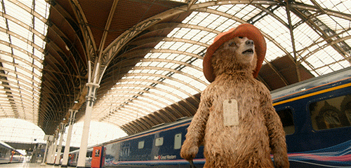 Confused London GIF by Paddington Bear - Find & Share on GIPHY
