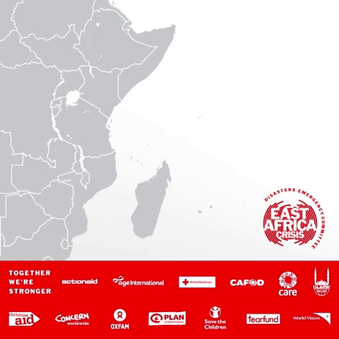 DECappeal animation gif baby charity GIF