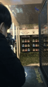 _PEBBLE gun bb shooting target GIF