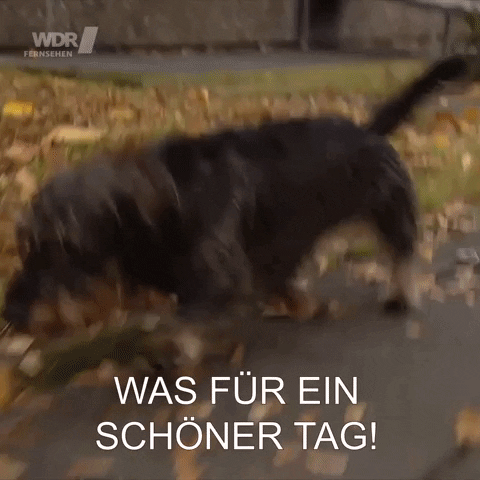 Happy Hihi GIF by Koelner_Treff