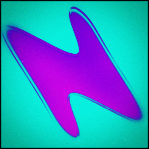 giphy.gif