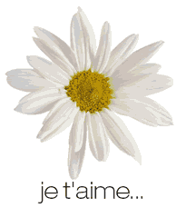virjinie  Sticker