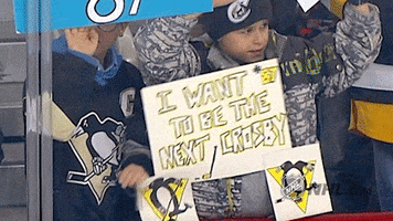 pittsburgh penguins nhl fans GIF by NHL