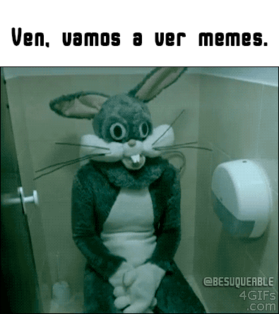 besuqueable memes GIF