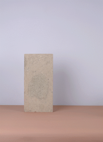 wikot_socialmedia estilo home decor arreglos florales casa selva GIF