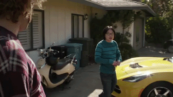 gorlug deal with it silicon valley jian yang GIF