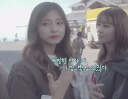 mollydurac-4c32  GIF