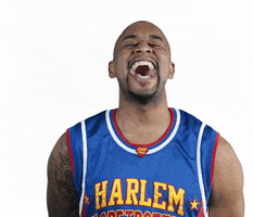 no GIF by Harlem Globetrotters