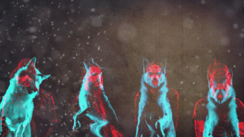 picture Galaxy:fhgra0Uxgyk= Wolf Gif galaxy wolf gifs get the best gif on