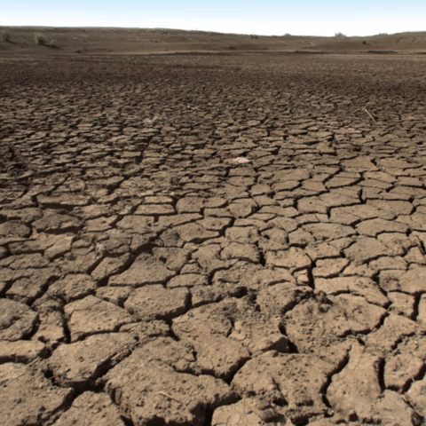 DECappeal animation gif baby charity GIF