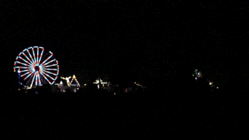 ripsnort carnival ferris wheel GIF