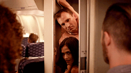 truTV sex plane trutv bathroom GIF