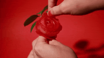 stop motion love GIF by Caitlin Craggs