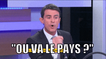 pays manuel valls GIF by franceinfo