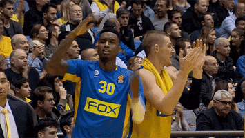 Maccabi Tel Aviv Basketball GIF by EuroLeague