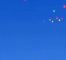 imschrolled  GIF