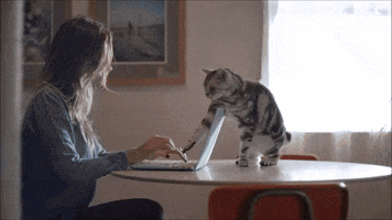 yupgr3dgemvrdxdr  GIF