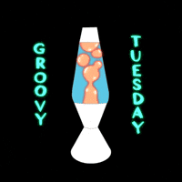 Tuesday Morning Day GIF by Studios 2016