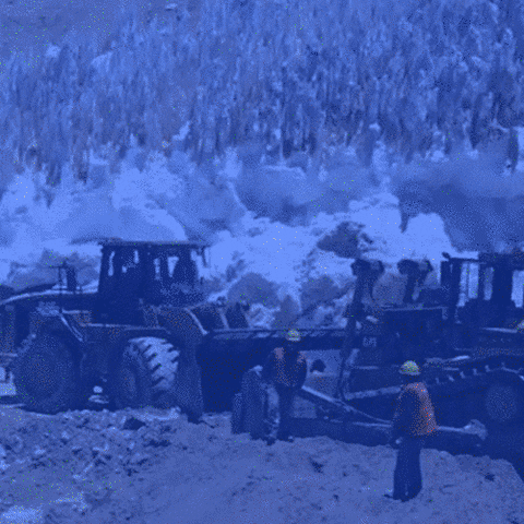 franteijeiro  GIF