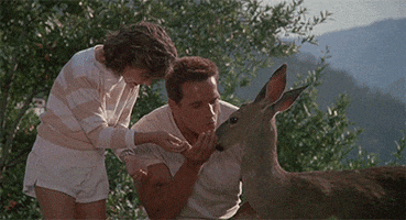 Arnold Schwarzenegger Deer GIF by 20th Century Fox Home Entertainment