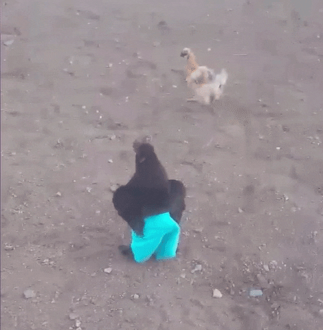 madisonmalonekircher  GIF