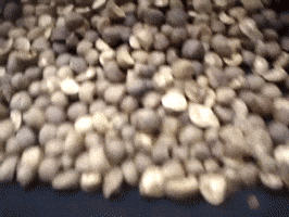 recon  GIF