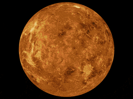 Venus GIF by The Telegraph