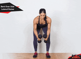 soner fitbull GIF