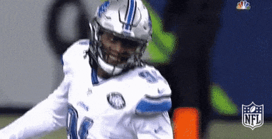 Happy Detroit Lions GIF by NFL