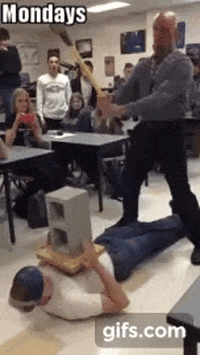 meatheadmilitia  GIF