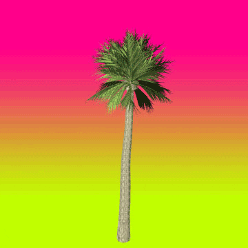 tropical gif tumblr