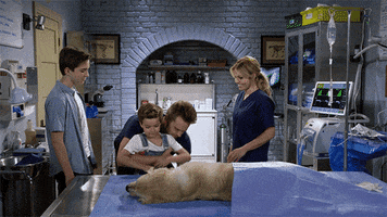 netflix love GIF by Fuller House