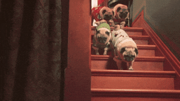 200.gif?cid=fc005b08c73fd8632d1e695a2a638e754b738c13238f9886&rid=200.gif&ct=g