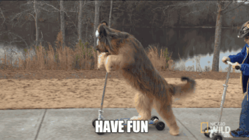 touc have fun GIF