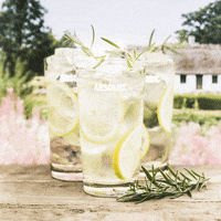 drinks cocktail GIF by Absolut Vodka
