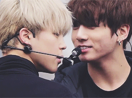 giordanacamillacamargo bts jikook GIF