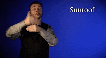sign language sunroof GIF by Sign with Robert